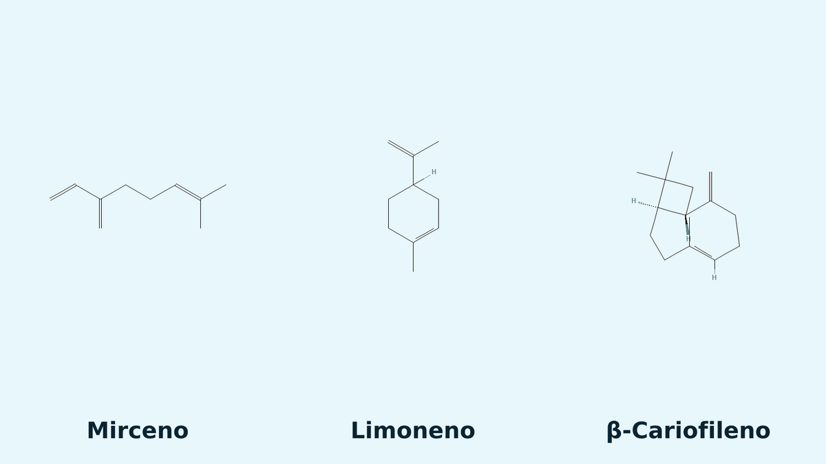 Estructuras químicas de Mirceno, Limoneno y β-Cariofileno